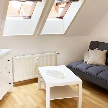Apartment Mit Dachterrasse Nahe Zwickau Glauchau